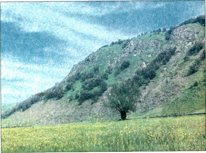 Подільські Товтри Подільські Товтри